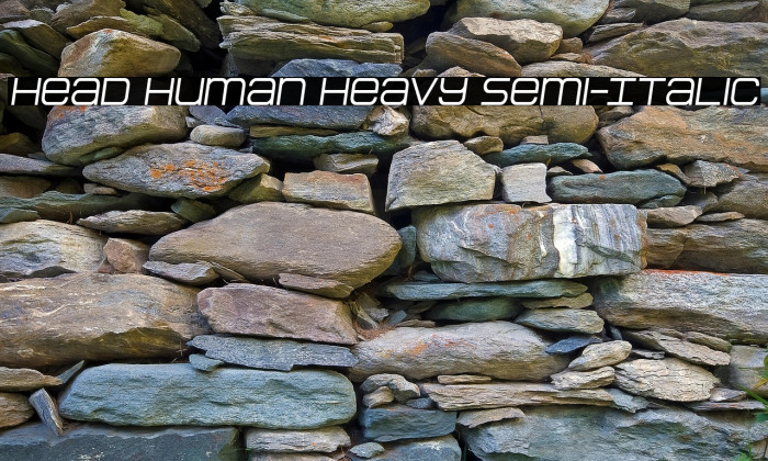 Head Human Heavy Semi-Italic Example 3
