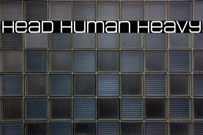 Head Human Heavy Example 1