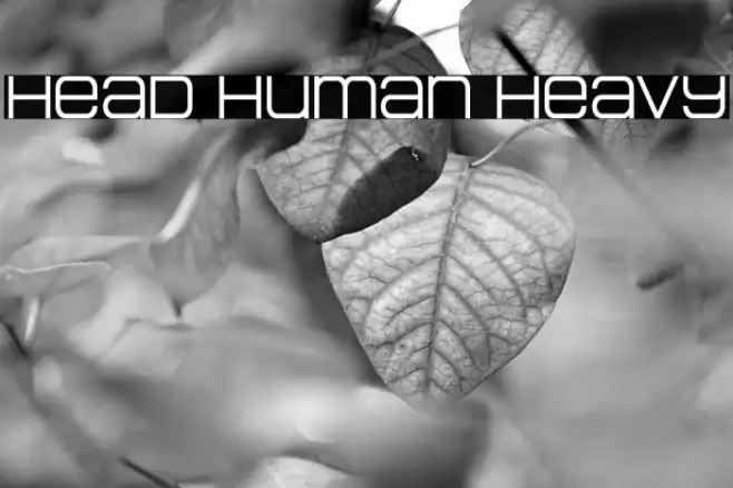 Head Human Heavy Font examples