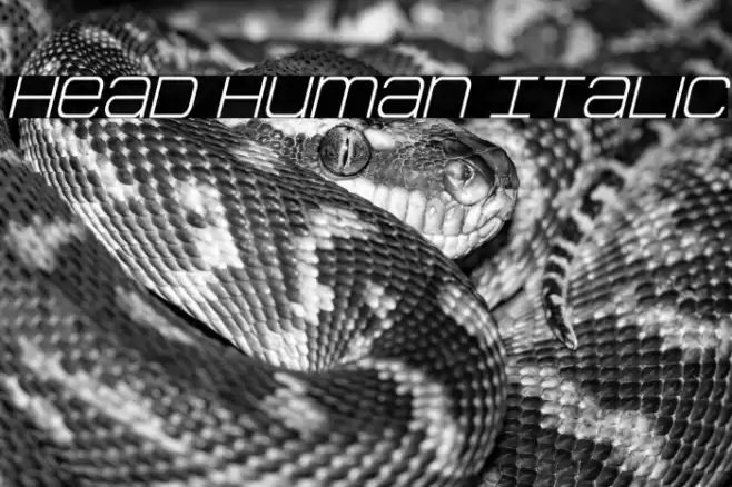 Head Human Italic Font examples