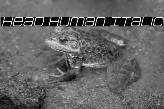 Head Human Italic Font examples