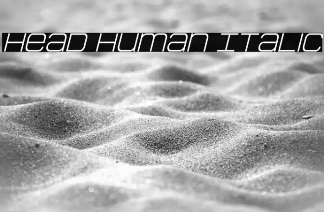 Head Human Italic Font examples