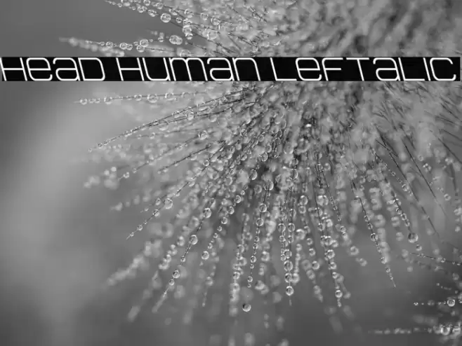 Head Human Leftalic Font examples