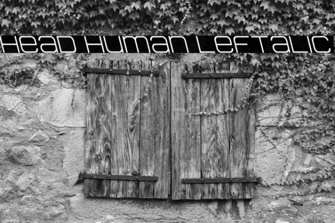 Head Human Leftalic Font examples