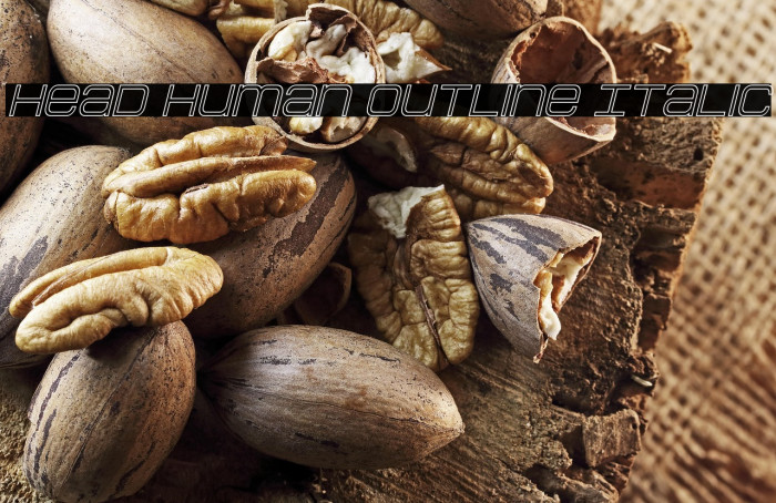 Head Human Outline Italic Example 3