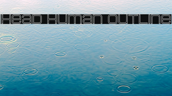 Head Human Outline Example 2