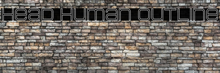 Head Human Outline Example 3