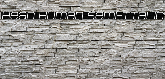 Head Human Semi-Italic Example 1
