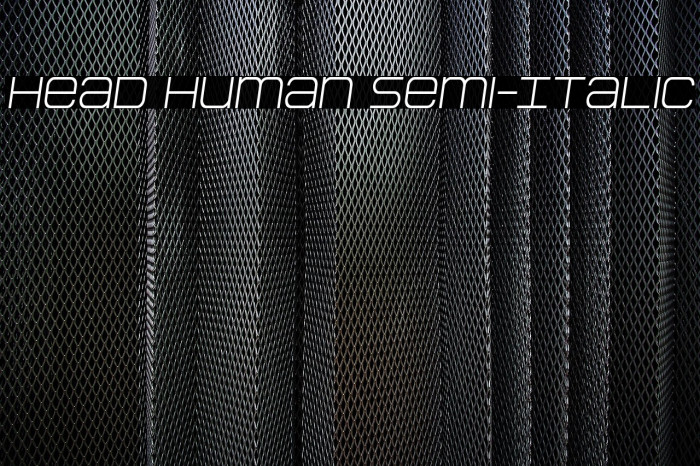 Head Human Semi-Italic Example 2