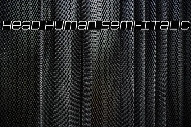 Head Human Semi-Italic Example 2