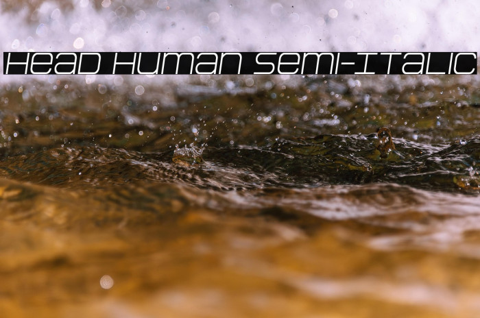 Head Human Semi-Italic Example 3