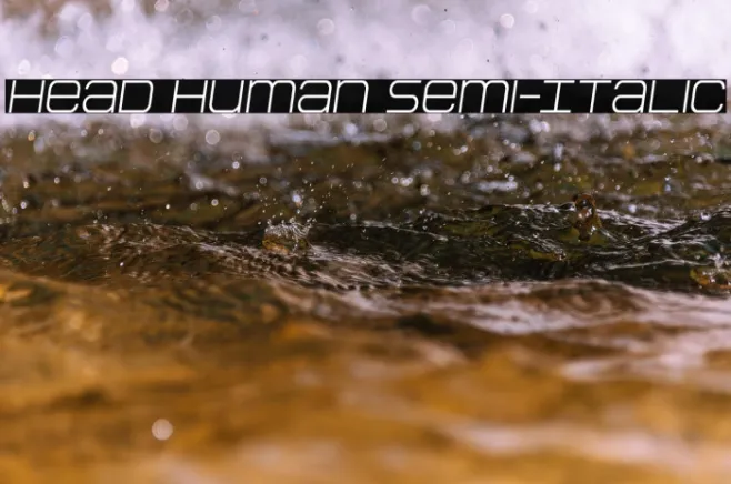 Head Human Semi-Italic Example 3
