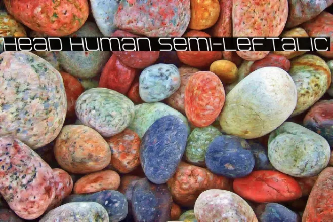 Head Human Semi-Leftalic Example 1