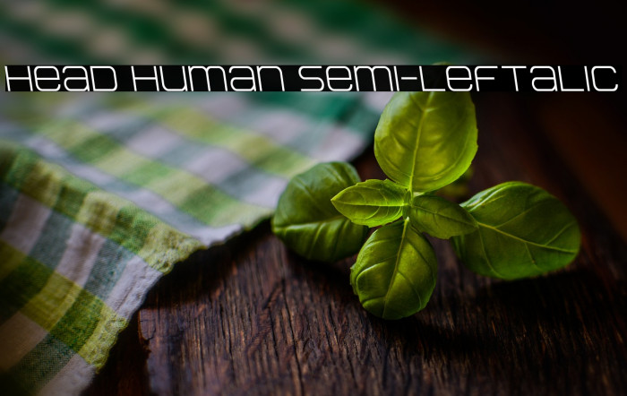 Head Human Semi-Leftalic Example 2