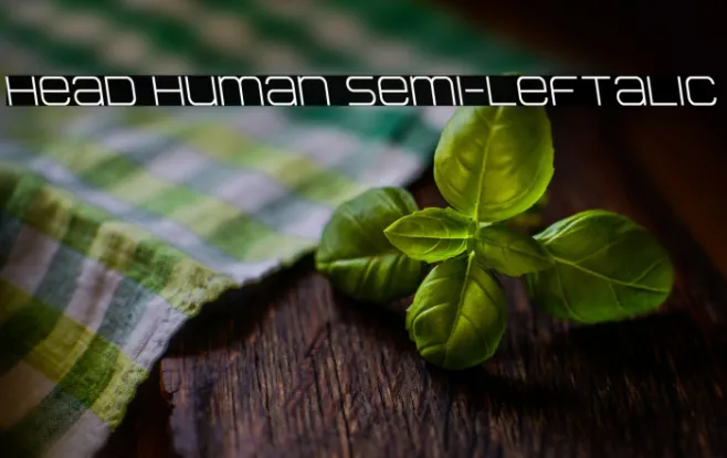 Head Human Semi-Leftalic Example 2