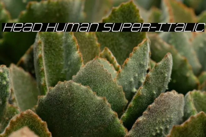 Head Human Super-Italic Example 2