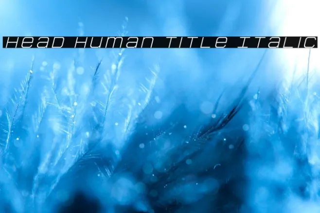 Head Human Title Italic Example 1
