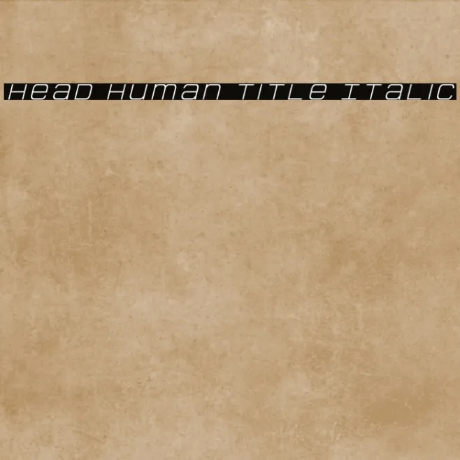 Head Human Title Italic Example 2