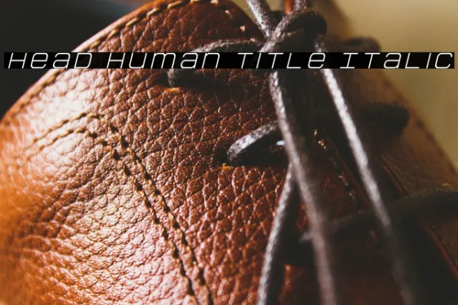 Head Human Title Italic Example 3