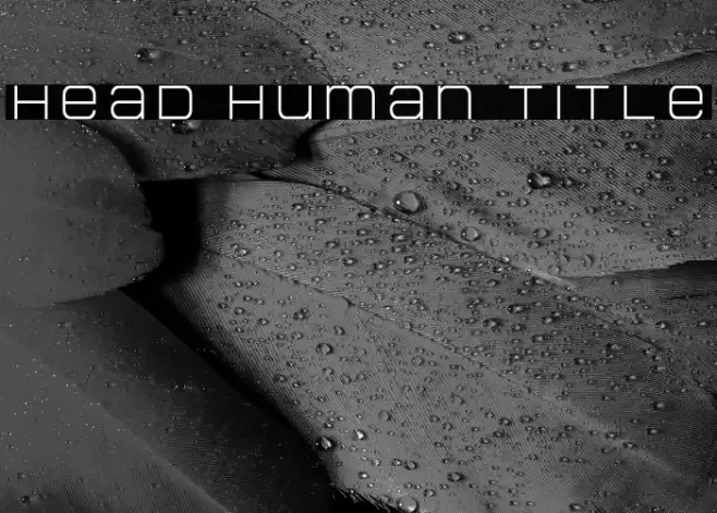 Head Human Title Font examples