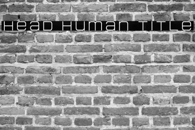 Head Human Title Font examples