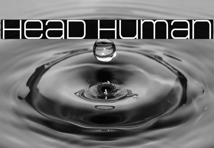 Head Human Example 2