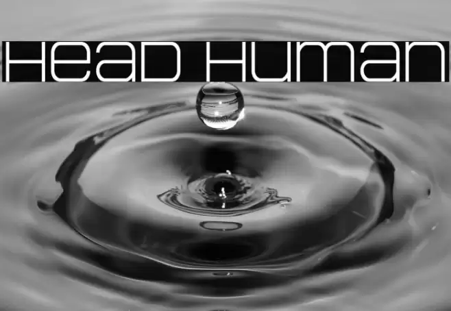 Head Human Font examples
