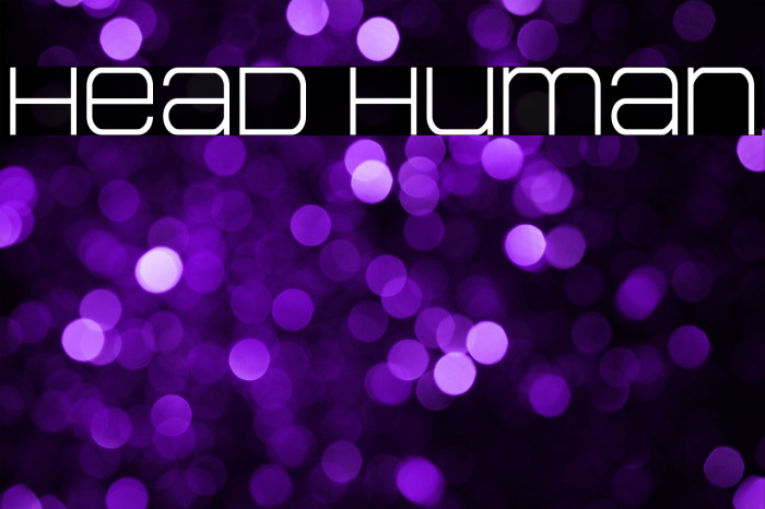 Head Human Example 3