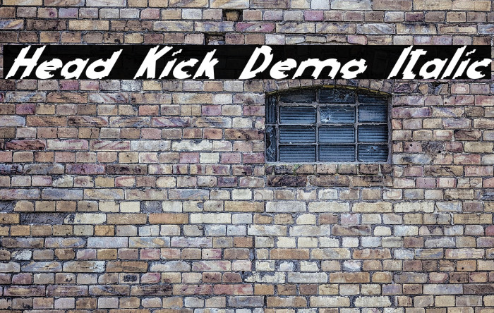 Head Kick Demo Italic Example 1