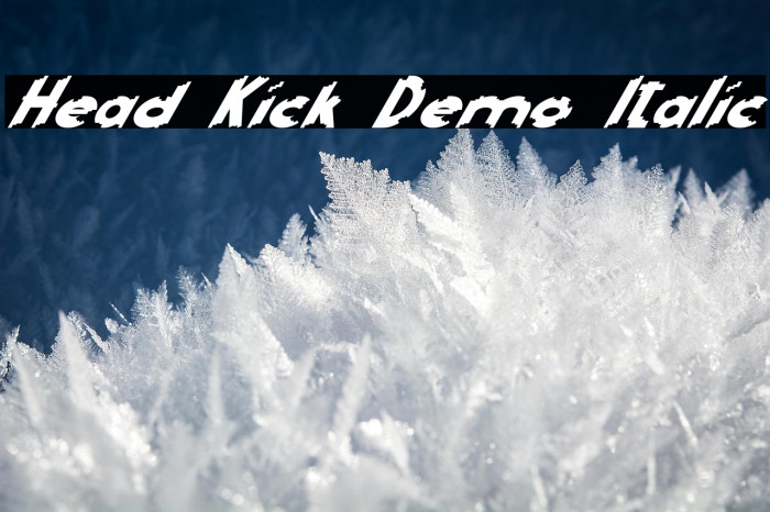 Head Kick Demo Italic Example 2