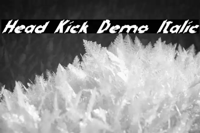 Head Kick Demo Italic Caratteri examples