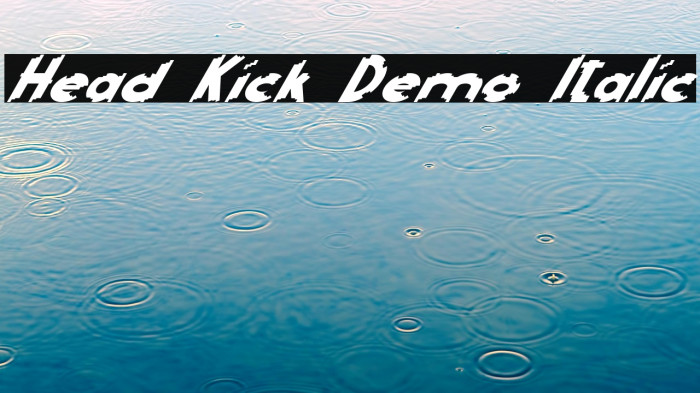 Head Kick Demo Italic Example 3
