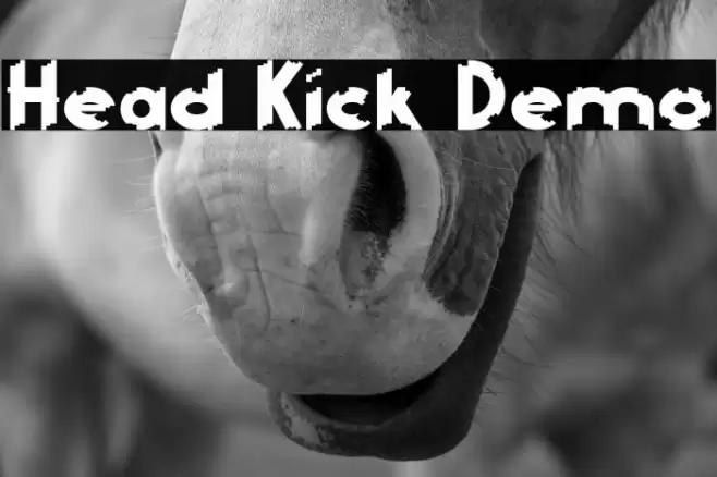 Head Kick Demo خط examples