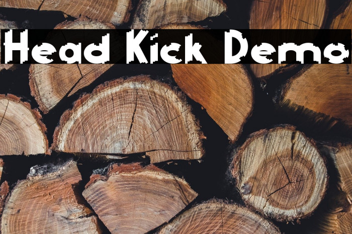 Head Kick Demo Example 2