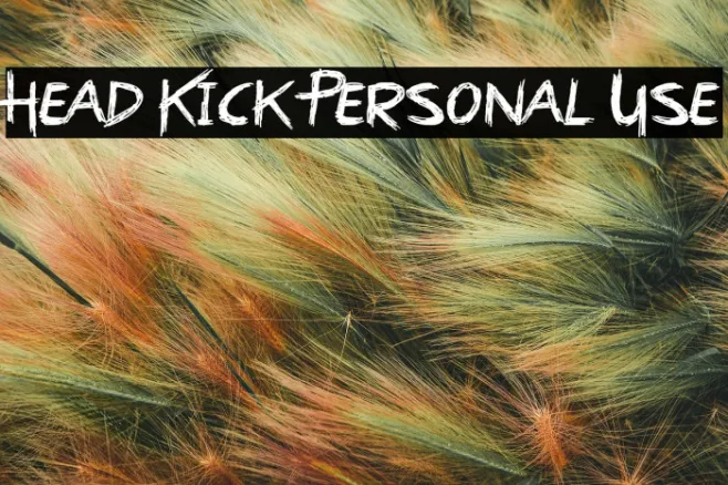 Head Kick Personal Use Example 1