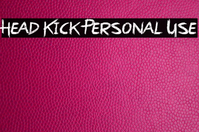Head Kick Personal Use Example 2