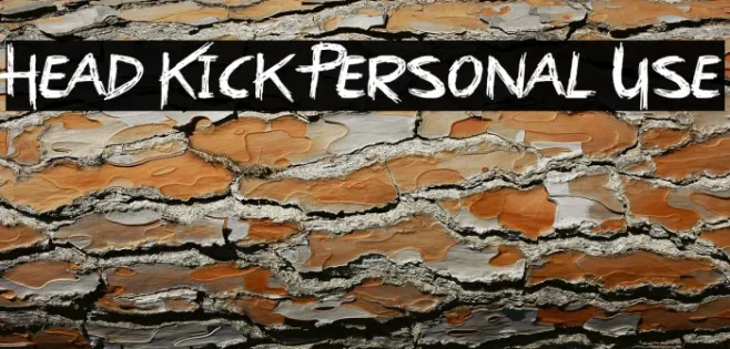 Head Kick Personal Use Example 3