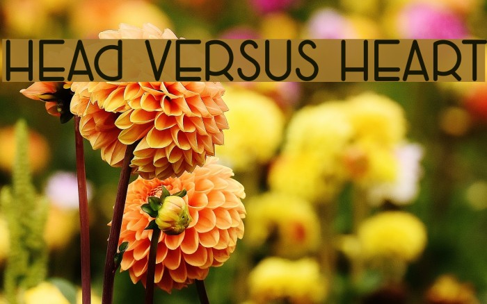 Head Versus Heart फ़ॉन्ट examples