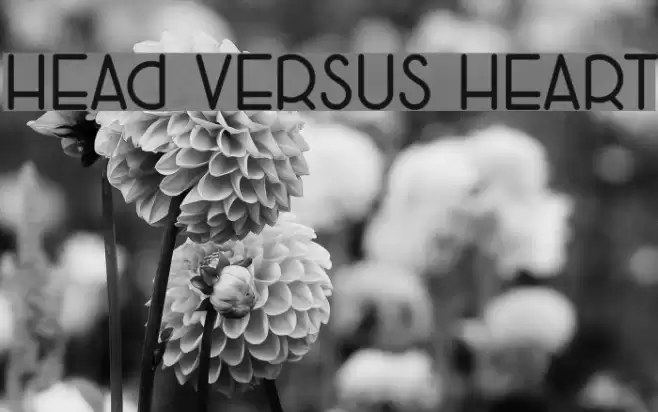 Head Versus Heart Font examples