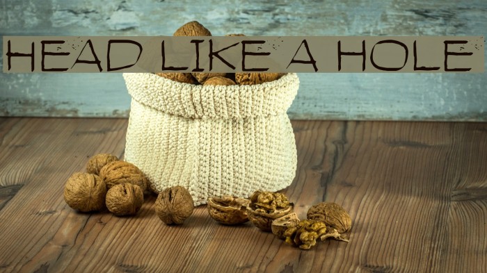 Head like a hole Font examples