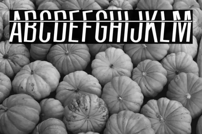 HeadShot Font examples