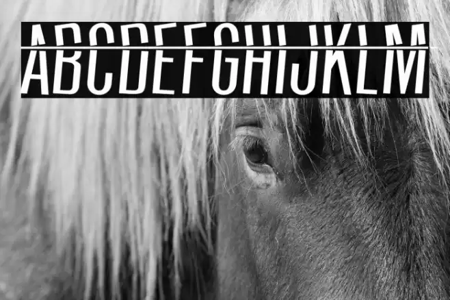 HeadShot Font examples