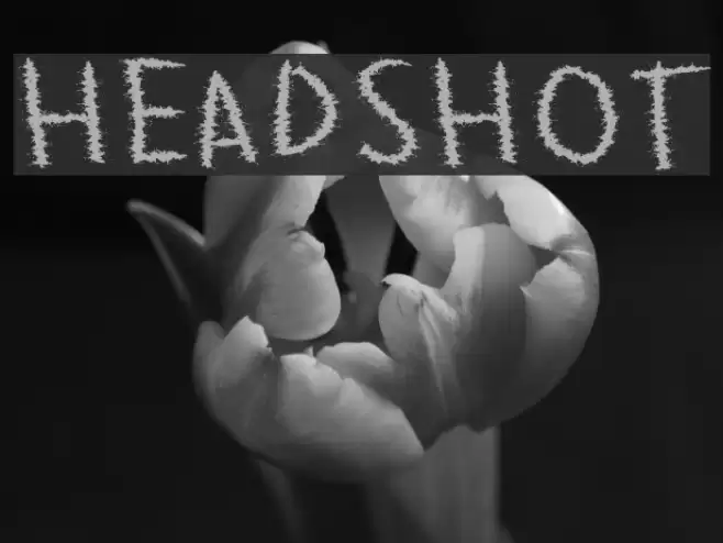 HeadShot Font examples