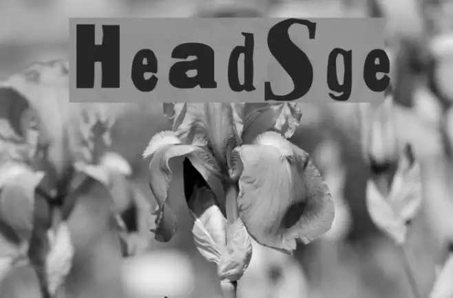 HeadSurgery Font examples