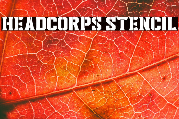 Headcorps Stencil Example 1