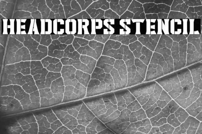 Headcorps Stencil Font examples