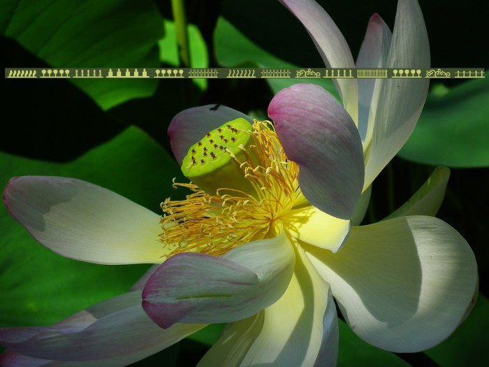 Header Ornament Example 1