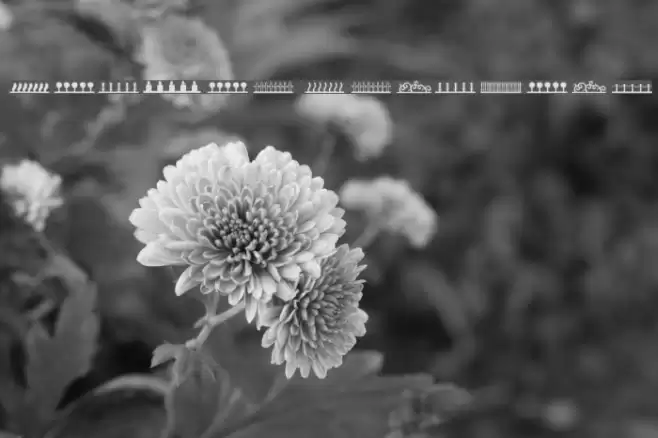 Header Ornament Font examples