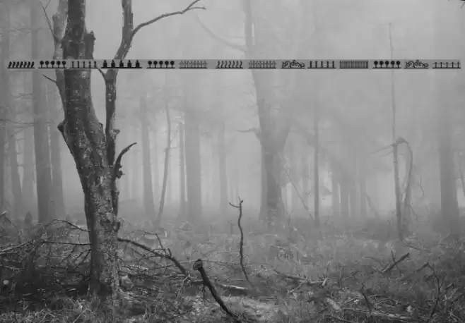 Header Ornament Font examples