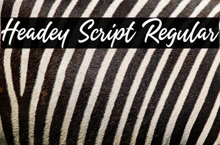 Headey Script Regular Example 1